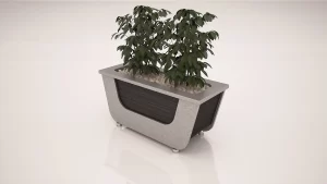فلاور باکس اینترست تیپ 2006